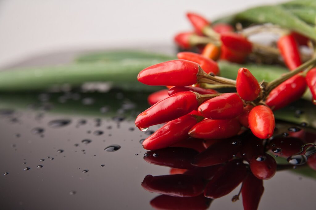 Ricetta marmellata di peperoncini di Elena Spinsanti