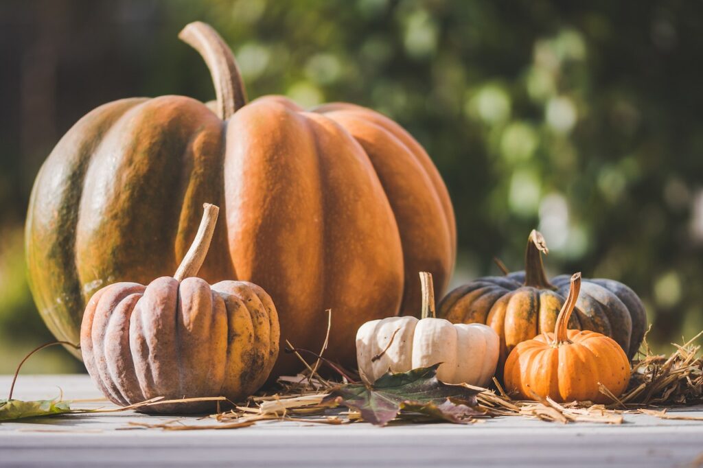 Torta di Zucca - Elena Spinsanti Azienda Agricola