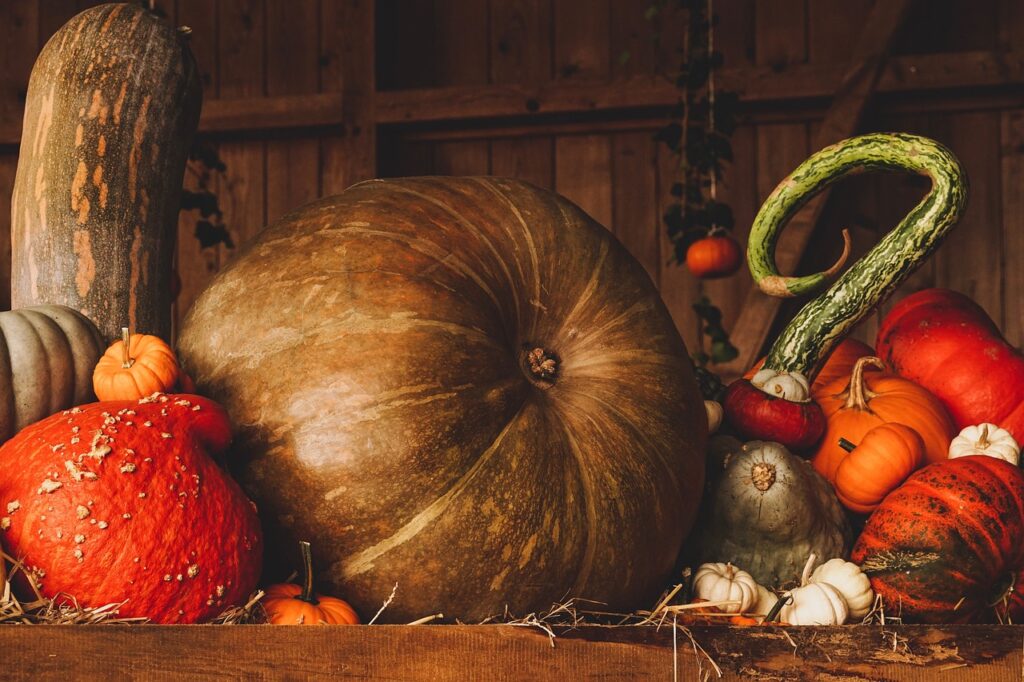 Ricetta del pane di zucca fornita da Elena Spinsanti Azienda Agricola