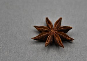 star anise, seasoning, food-5034435.jpg